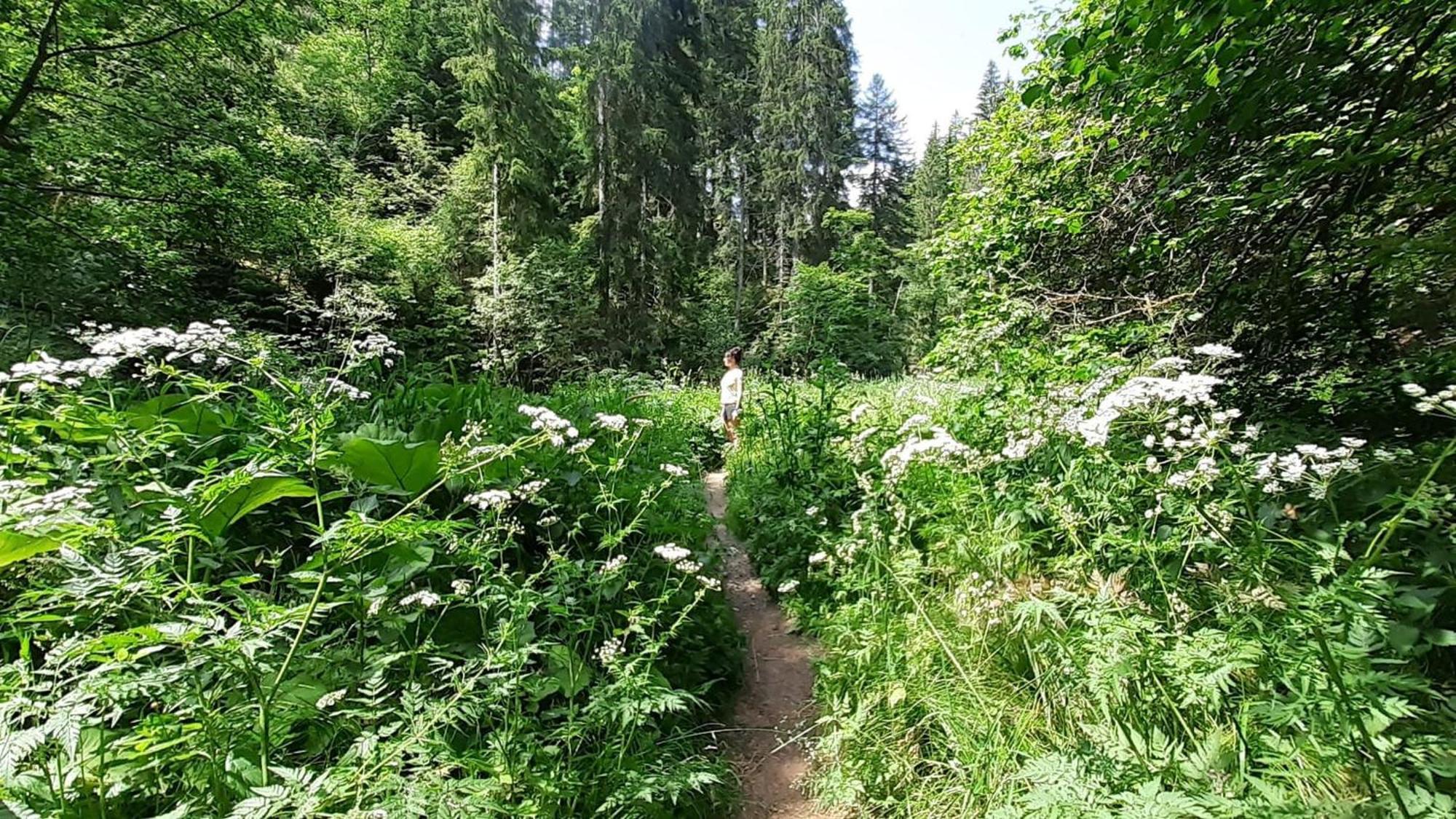 Landhaus Alpenpanorama Löffingen Eksteriør bilde