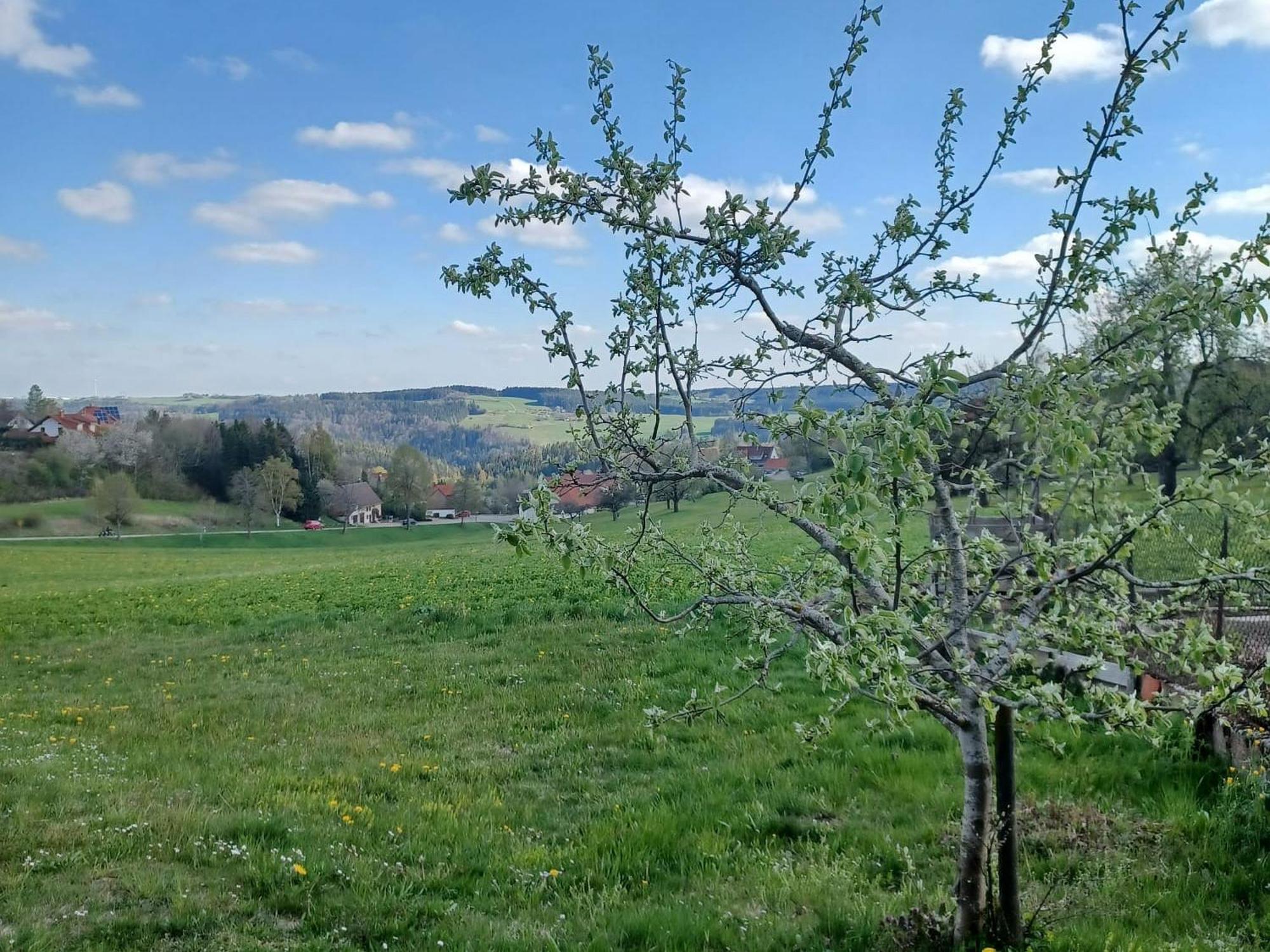 Landhaus Alpenpanorama Löffingen Eksteriør bilde