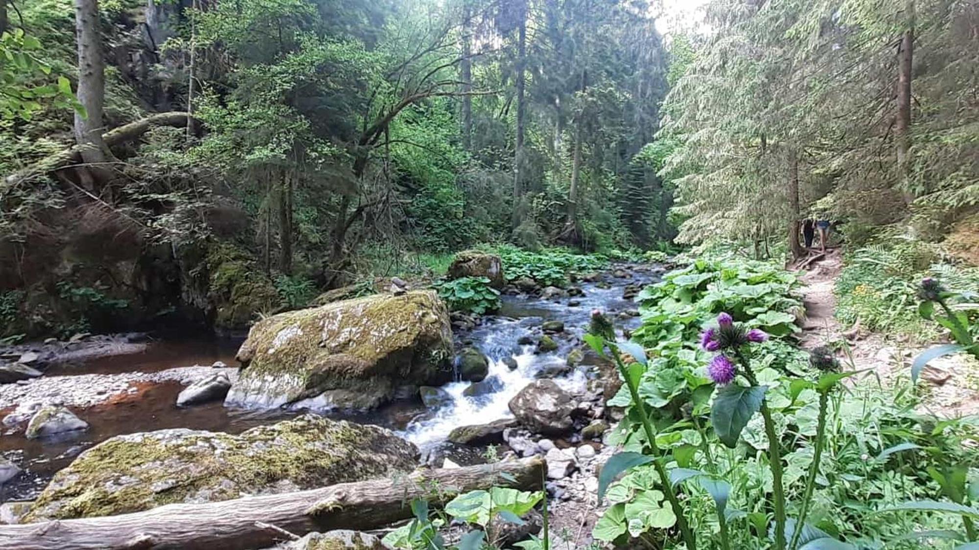 Landhaus Alpenpanorama Löffingen Eksteriør bilde